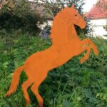 Aufbäumendes Pferd