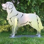 Edelrost Gartenfigur, Golden Retriever